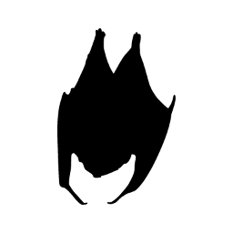 Bat word art template