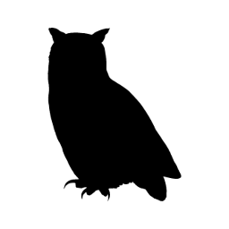 Owl word art template