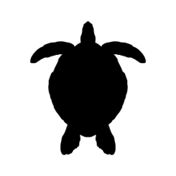 Turtle word art template